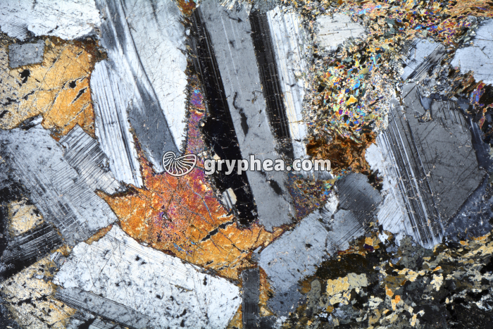 Métagabbro à Hornblende LPA x3,5 - gryphea.com